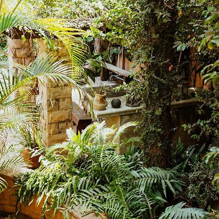 רסטנבורג Terra Casa Guesthouse מראה חיצוני תמונה