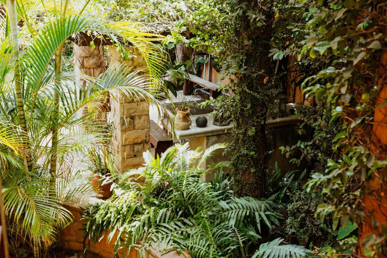 רסטנבורג Terra Casa Guesthouse מראה חיצוני תמונה